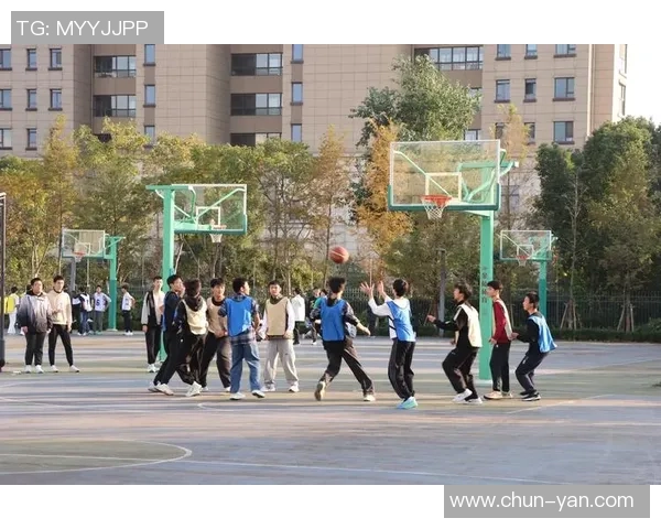 以篮球为纽带探索团队合作与青春奋斗的激情故事