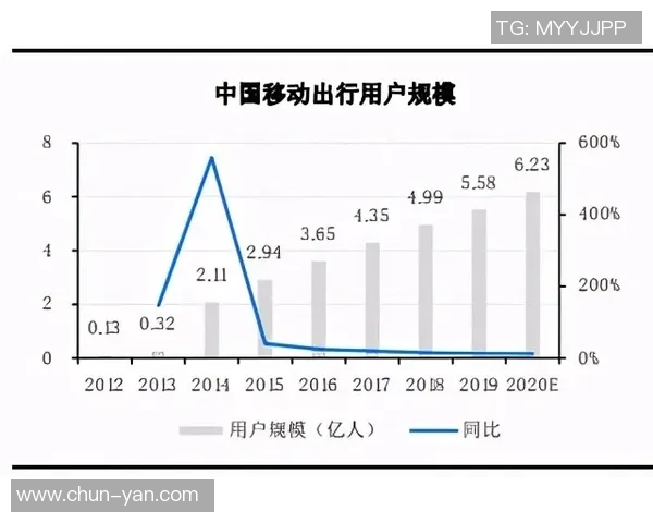 篮球文化与团队精神在校园生活中的深度融合与成长发展故事探索之